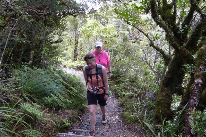 Nieuw-Zeeland 2011 - 0844